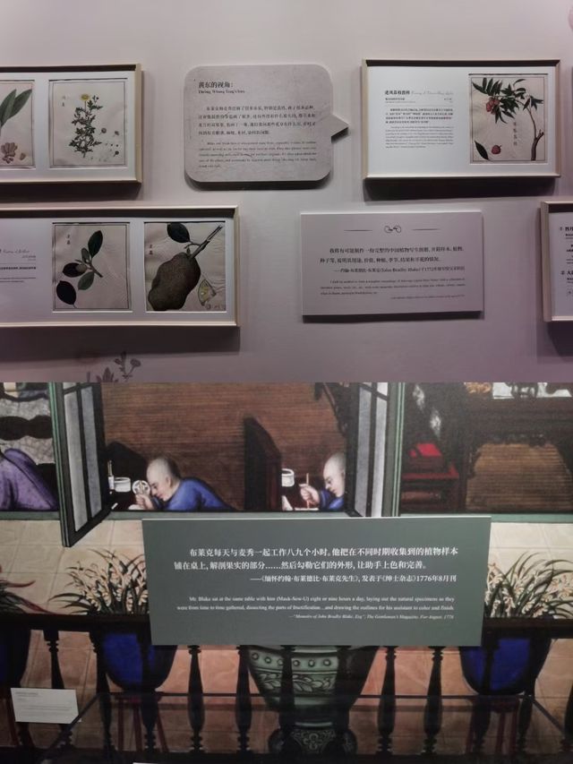 是「出海記」的一天在廣州一定要去的博物館。