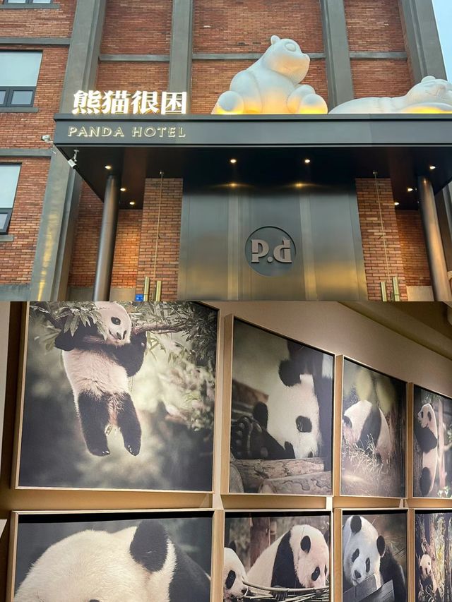 在成都住到藝術感爆棚的熊貓民宿！