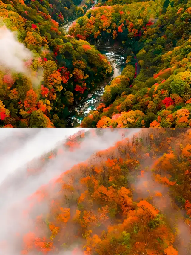 Bazhong, Guangwu Mountain is so beautiful!