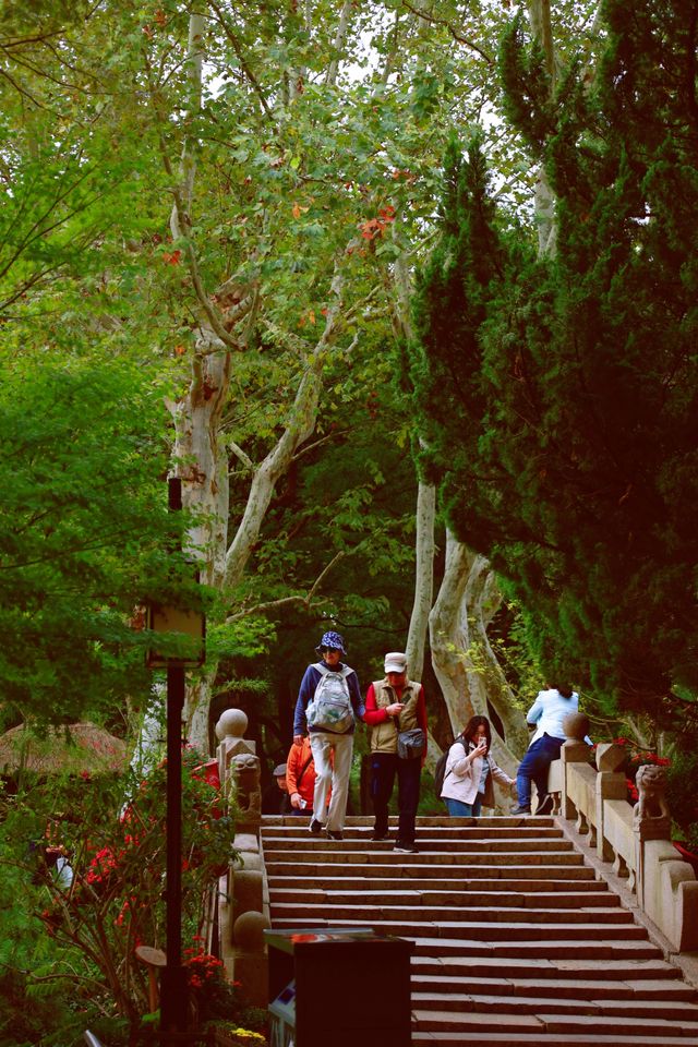 又到了醉白池最美的季節。 又到了醉白池最美的季節。