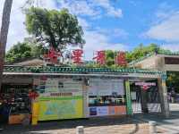 桂林七星公園｜城市綠洲，山水間的璀璨明珠。