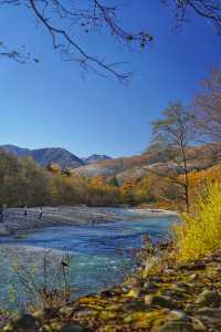日本旅行｜絕景秋色：長野上高地（附交通攻略）。