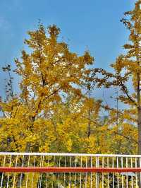 西安雁南公園|這裡的公園不一樣。