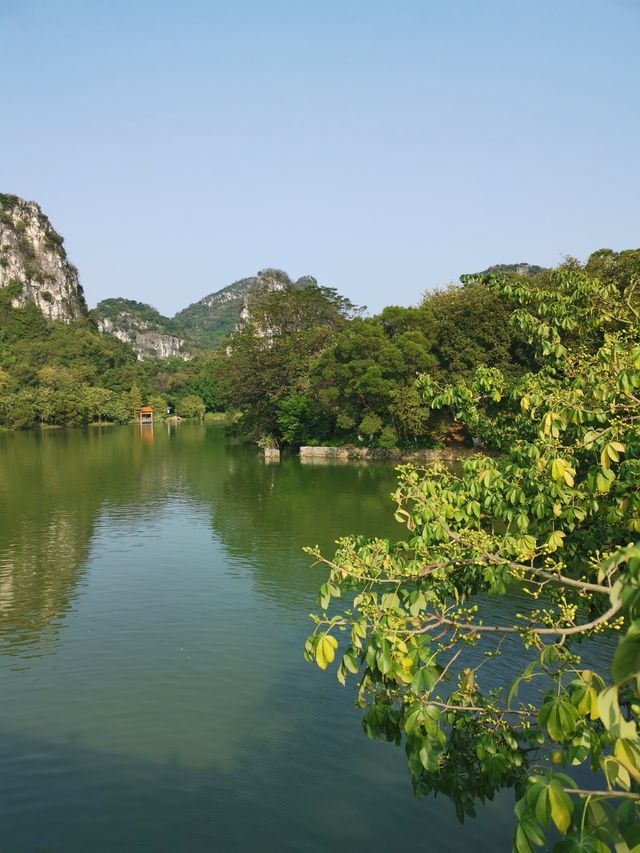 養眼養心又養人的地方——廣西柳州龍潭公園。