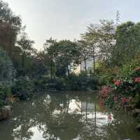 🌳 Longcheng Park 🌳