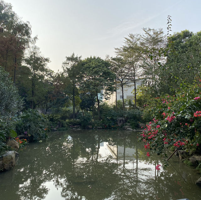 🌳 Longcheng Park 🌳