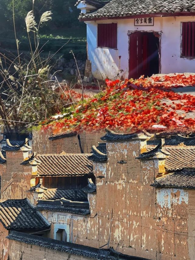 麗水｜「江南最後的秘境」__《國家地理》。