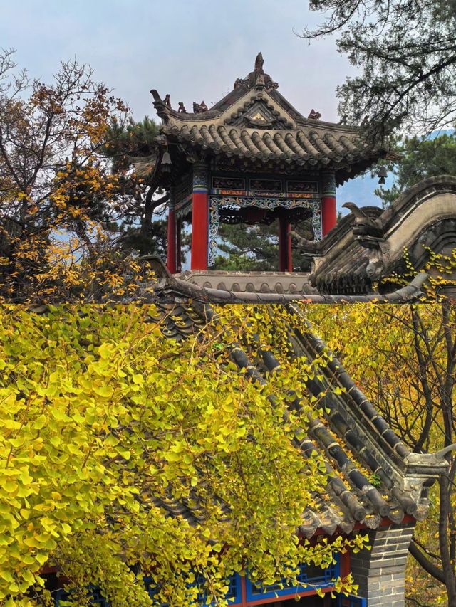 三天兩夜——鞍山之旅，一場奇妙的仙境之旅。