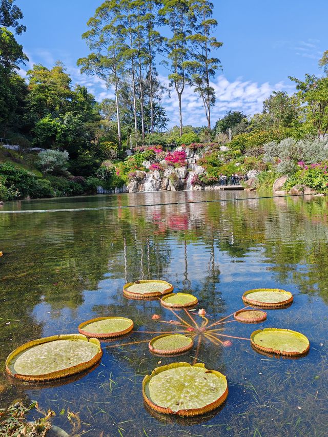 雲蘿植物園。