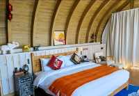 普洱倚象山營地:自然奢華的茶園之旅