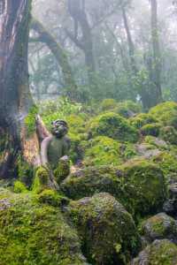 💥震撼預警！哀牢山：地球顏值巔峰，美到…