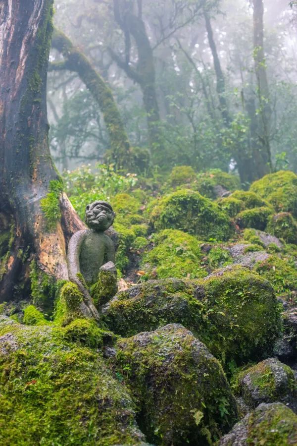 💥震撼預警！哀牢山：地球顏值巔峰，美到…