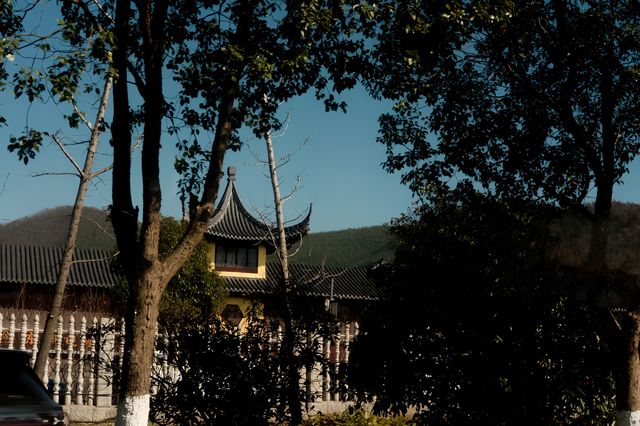 南京秋天的正確打開方式！