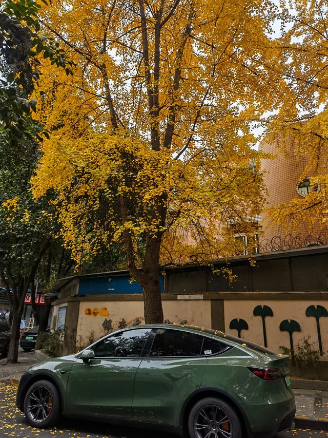 陰天無濾鏡直出，Cityride 從錦繡街到錦江邊
