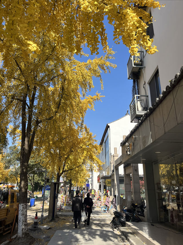 蘇州漫步:道前街-體育場路-定慧寺巷 蘇州漫步:道前街-體育場路-定慧寺巷