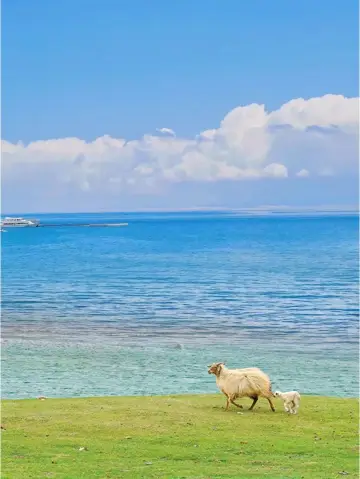 西北大環線，野奢新玩法|||遊走在大西北的路上