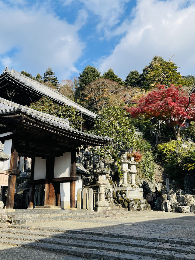 日本·奈良