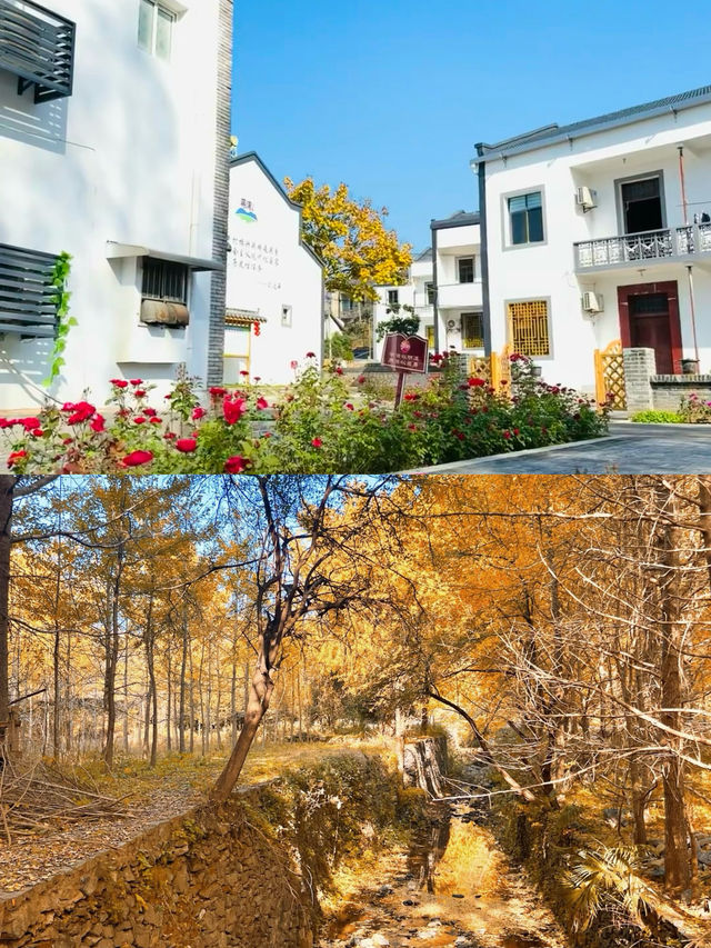 全國唯一以「孝」命名的城市