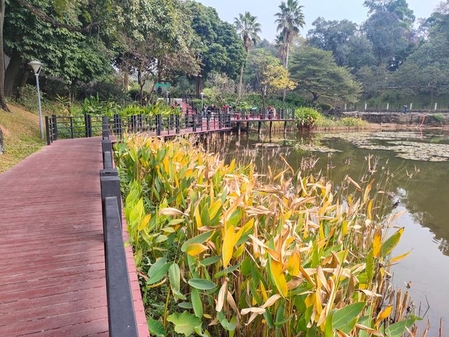 廣州麓湖公園