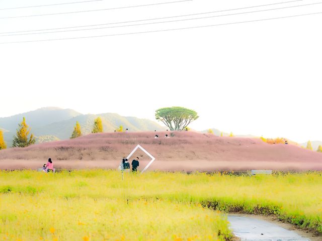 旅遊攻略篇