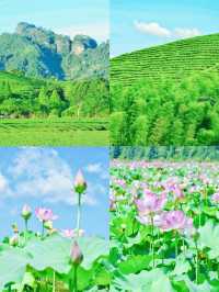 小眾行：解鎖福建「碧水丹山」密碼