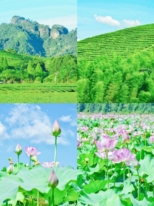 小眾行：解鎖福建「碧水丹山」密碼