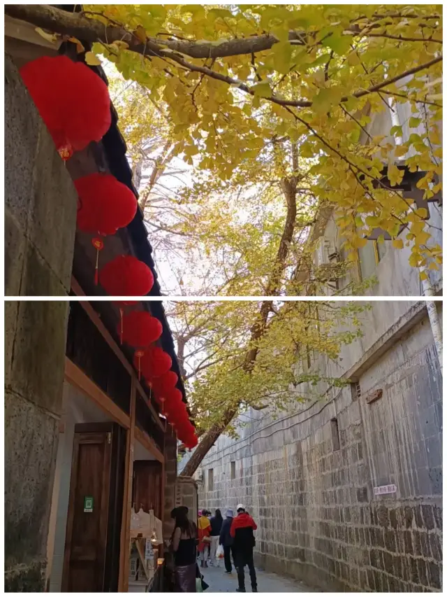 Tengchong Travel | Ginkgo Village