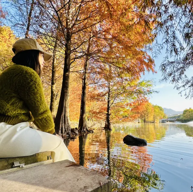 Fairytale Life in China