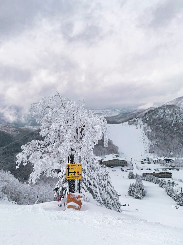 Explore the Dynamic Skiing Experience at Shiga Kogen Ski Resort in Nagano