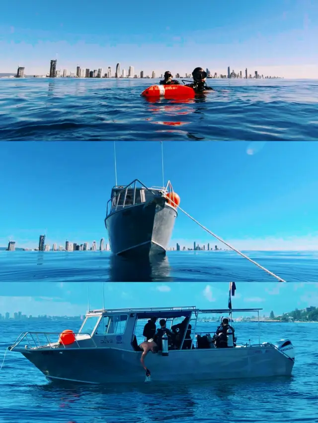 나와 함께 하늘과 바다로: 골드코스트 스쿠버다이빙