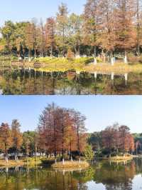 水墨園變成了「水鏡園」，景色太美啦!