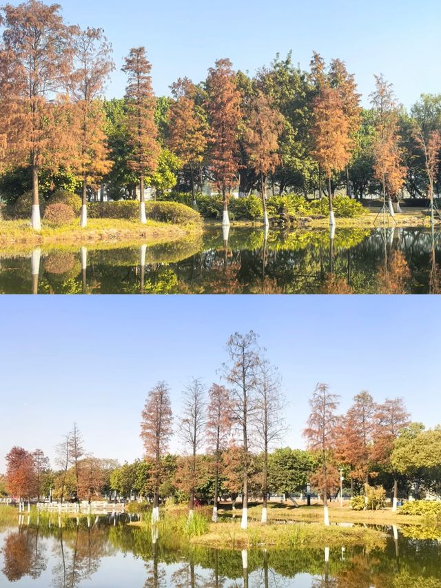 水墨園變成了「水鏡園」，景色太美啦!