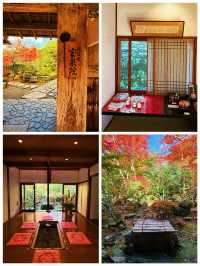 京都·寶泉院｜畫框一般繪畫卷環顧式庭院體驗和服之美
