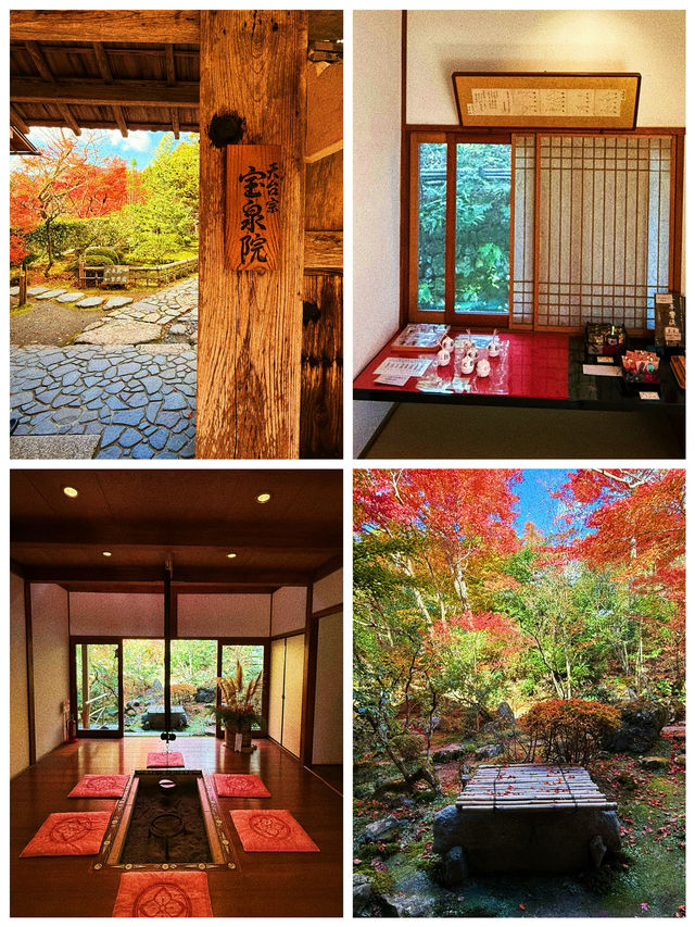 京都·寶泉院｜畫框一般繪畫卷環顧式庭院體驗和服之美