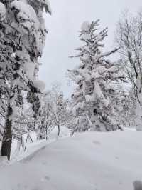 日本賞雪 旭岳大雪山～ La Vista 大雪山酒店||
