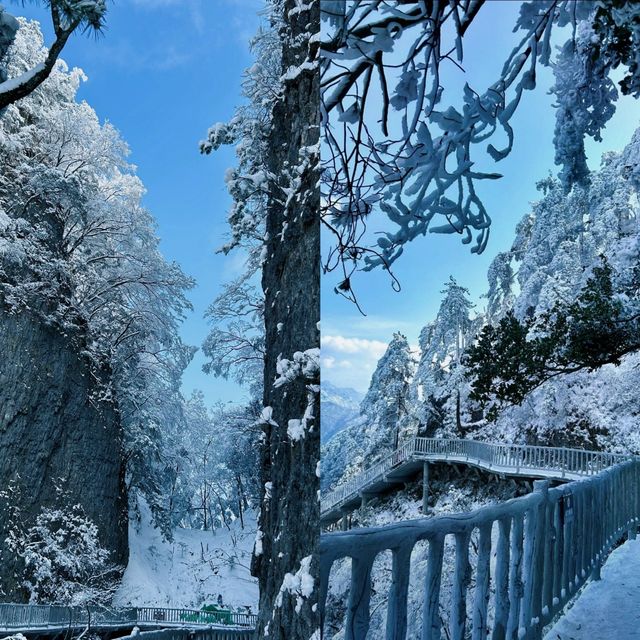 跟住呢份攻略，喺光霧山收穫雙倍快樂！