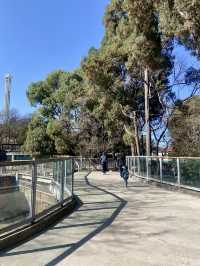 🦒🔥雲南昆明動物園｜是時候去看看可愛的動物了👀