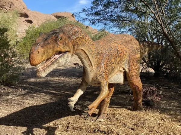 Discover the Phoenix Zoo: A Weekend Adventure with Dinosaurs