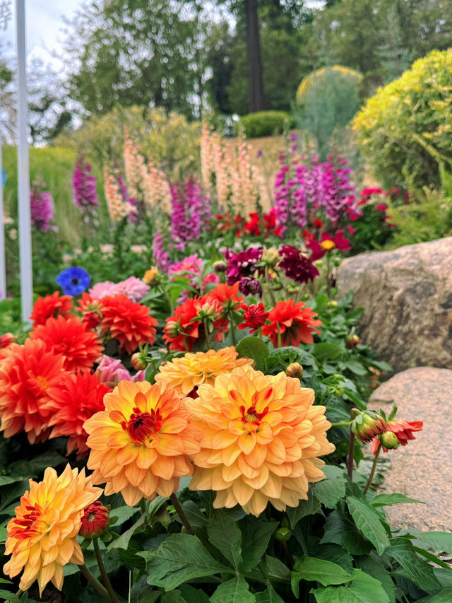 探秘雲蘿植物園，邂逅自然之美🌸