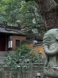 舟山3日遊 玩轉海島不踩雷