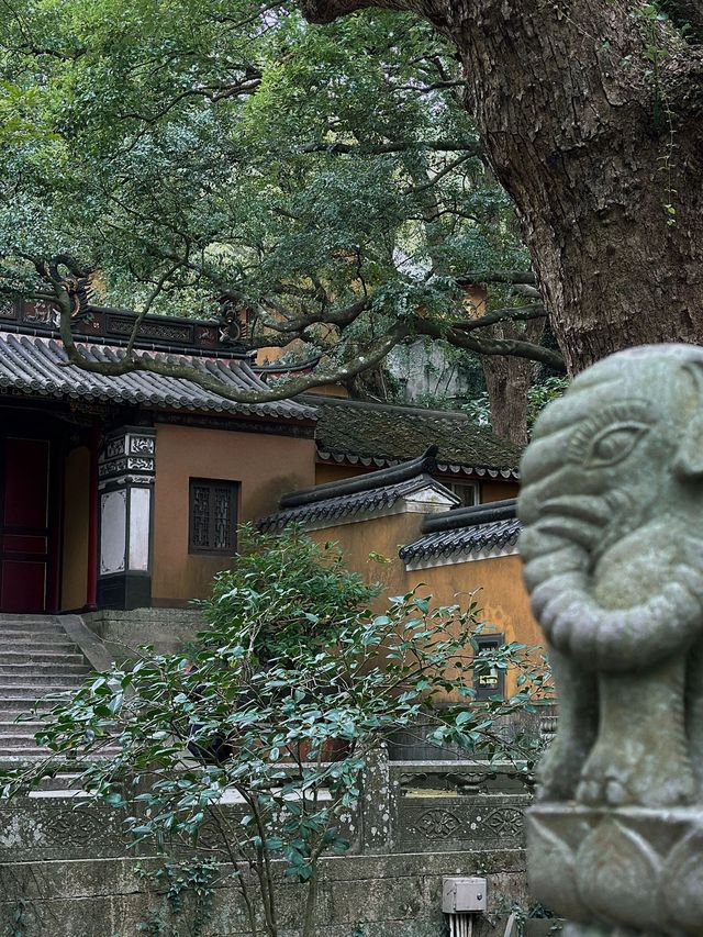 舟山3日遊 玩轉海島不踩雷