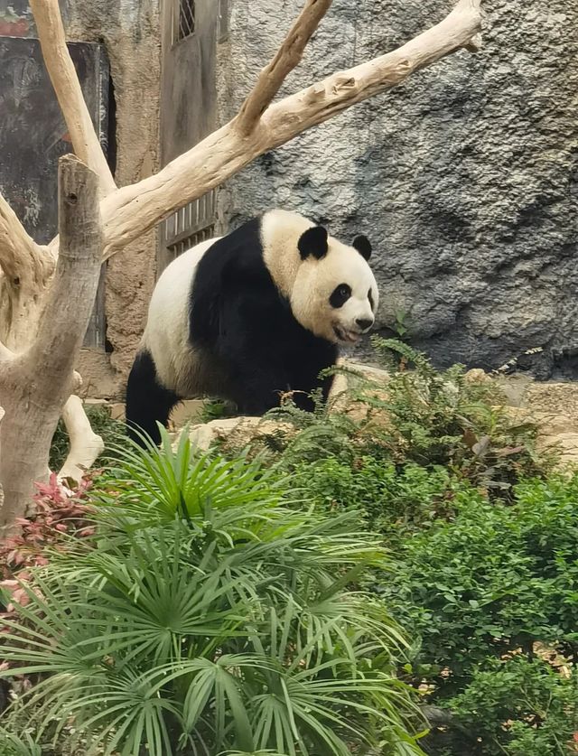 澳門帶孩子來可以去這些地方~