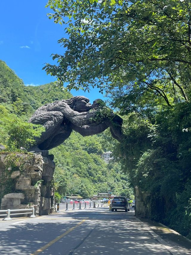 神農架-襄陽5日遊 超詳細攻略必玩景點一網打盡