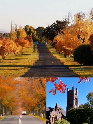Armidale Dream Adventure: A Romantic Two-Day Journey of Nature and Culture
