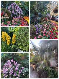 冬日裏的太原植物園