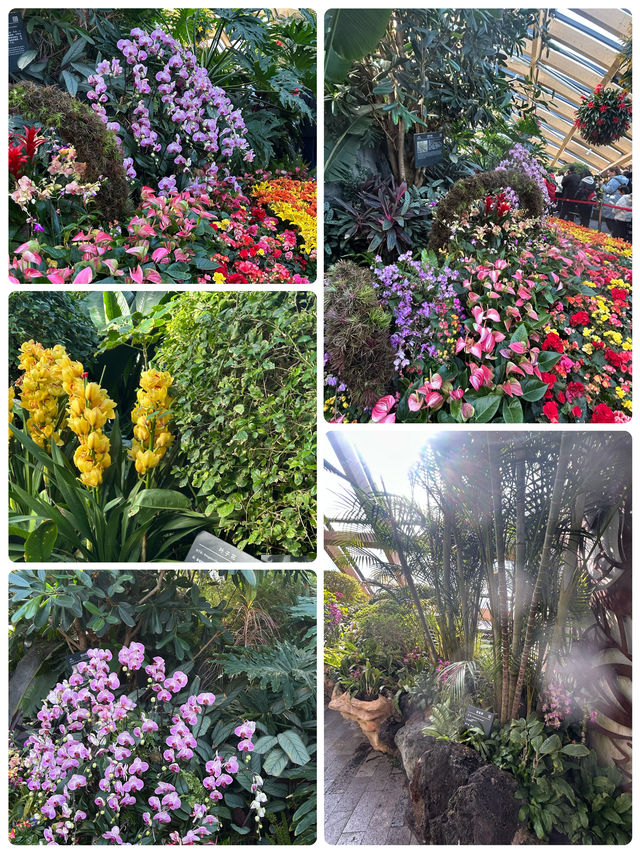 冬日裏的太原植物園
