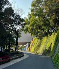 好天氣不容錯過|深圳市區小眾公園！