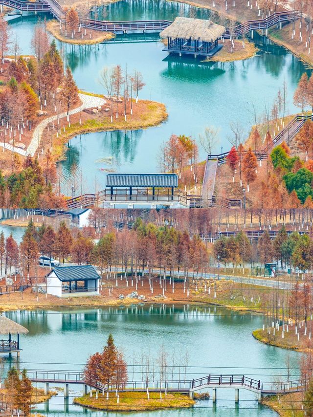 鹽城 你不宣傳這個地方，你糊塗啊…
