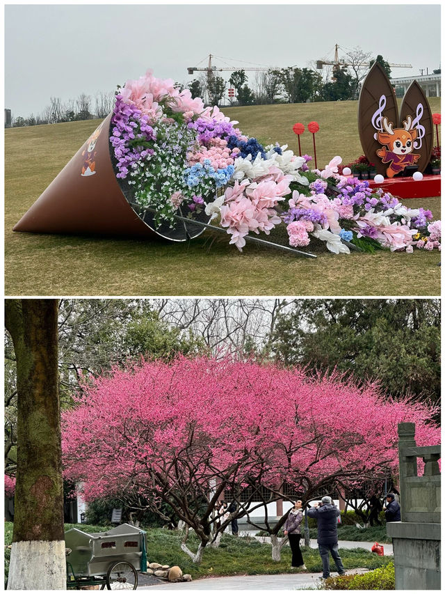 衢州之旅已結束，想去嘅姐妹要慎重考慮！因為一首歌來到一座城