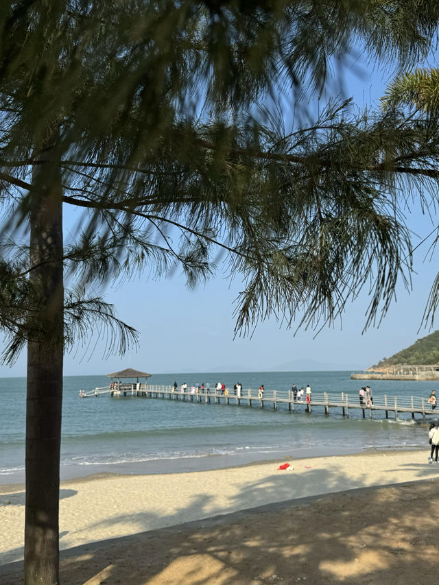 深圳自駕汕尾｜海邊一日遊